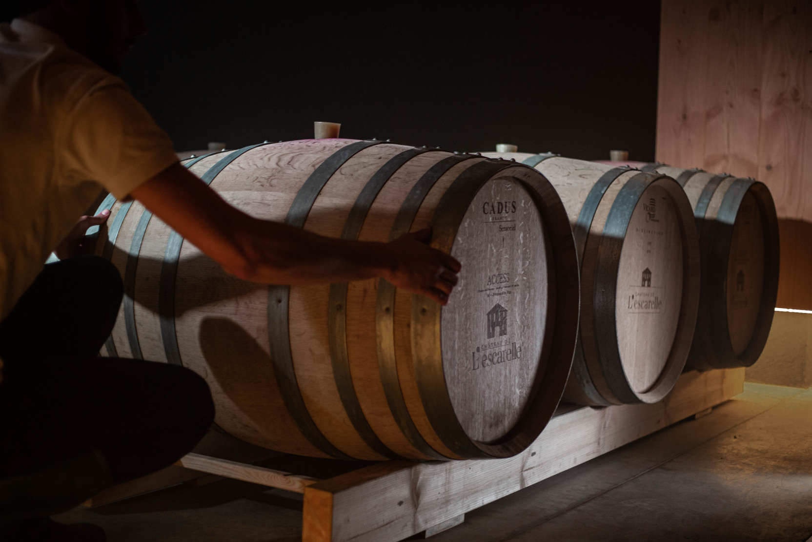 Cave à vins de l'Escarelle : Visite et dégustation