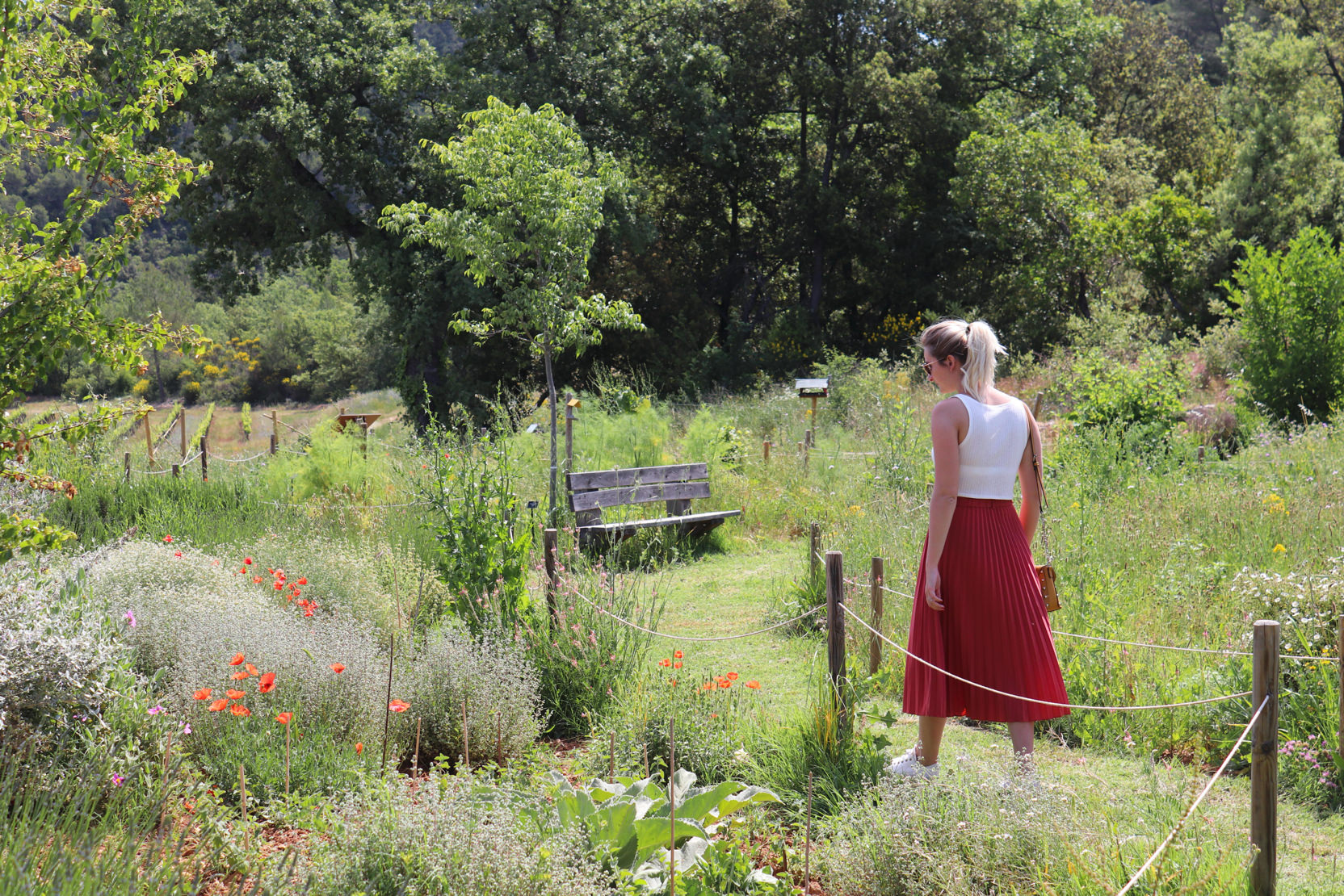 Un jardin à papillons riche en biodiversité