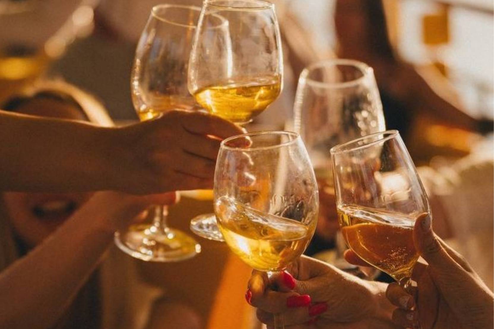 Un bar à vins pour des moments conviviaux et détendus